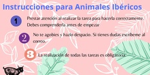 Instrucciones canva animales