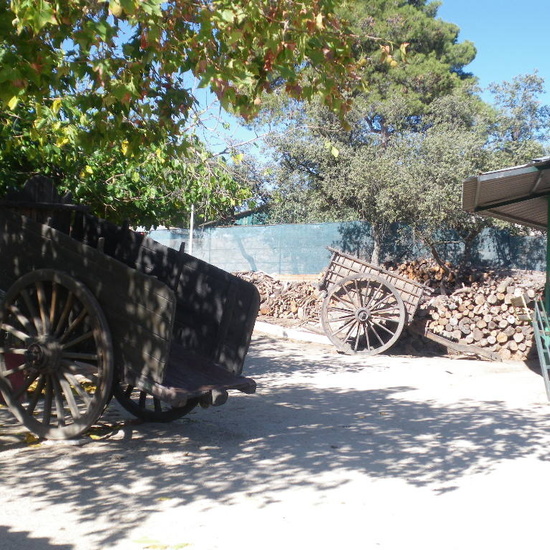 SALIDA A GRANJA ESCUELA EL PALOMAR (Chapinería ) 10