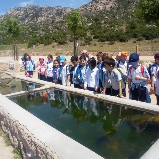 Camino de Santiago 3º EP 3