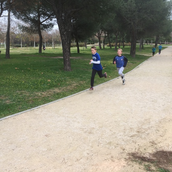 CROSS ESCOLAR 19-20.  6º curso 18