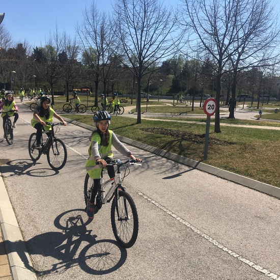 Educación Vial 11/3/2019 11