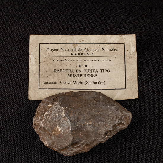 IES_SANISIDRO_MUSEO_Prehistoria_008