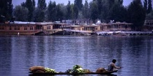 Barca transportando verduras en el lago Dal de Srinagar, Jammu y