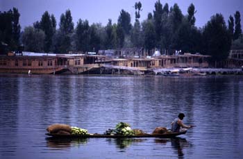 Barca transportando verduras en el lago Dal de Srinagar, Jammu y