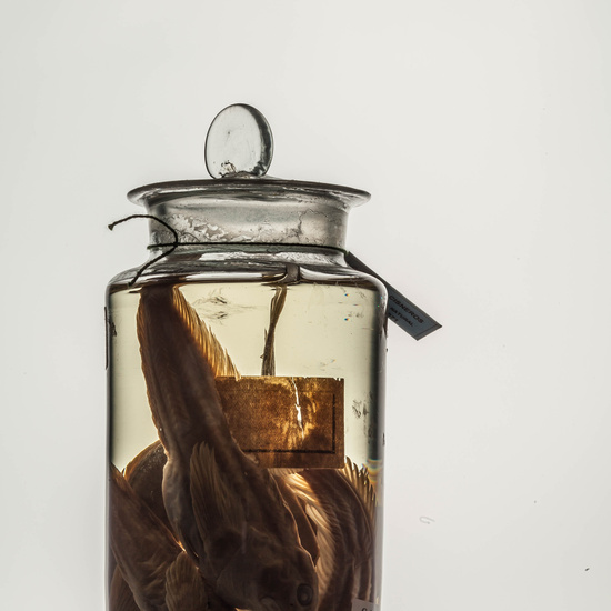 IES_CARDENALCISNEROS_CIENCIASNATURALES_164