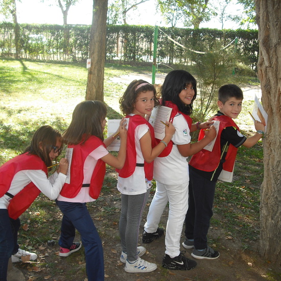 granja sexta parte 11