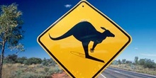 Señal de tráfico (peligro canguros), Australia
