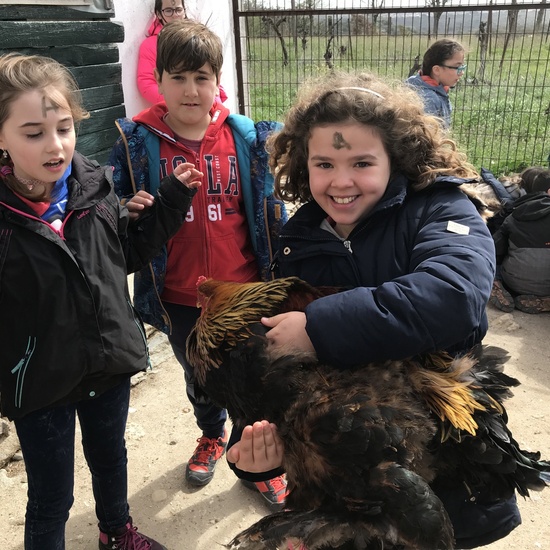 Granja Escuela “El Álamo” 3º y 4º EP_1 26