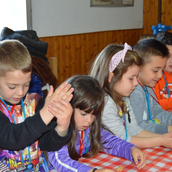 GRANJA ESCUELA ALBITANA 2018 8