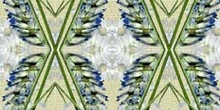 Simetría a cuatro de la flor, sobre trama de tela