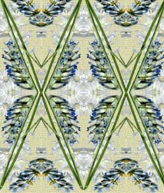 Simetría a cuatro de la flor, sobre trama de tela