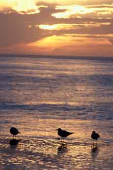 Cabo San Lucas, México