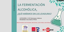 La fermentación alcohólica,¿qué haríamos sin las levaduras?