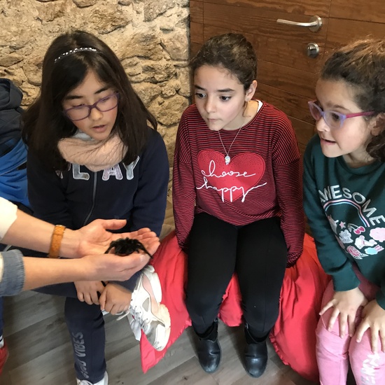 2020_02_27_3º visita Insectpark (5)_CEIP FDLR_Las Rozas 18