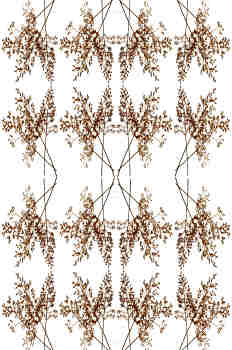 Simetrías del ramillete en horizontal y vertical