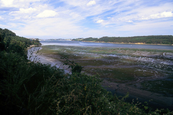 Vista hacia el noreste del tramo medio de la ría del Eo, Castrop