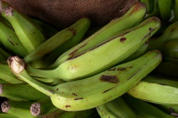 Platano verde de la India