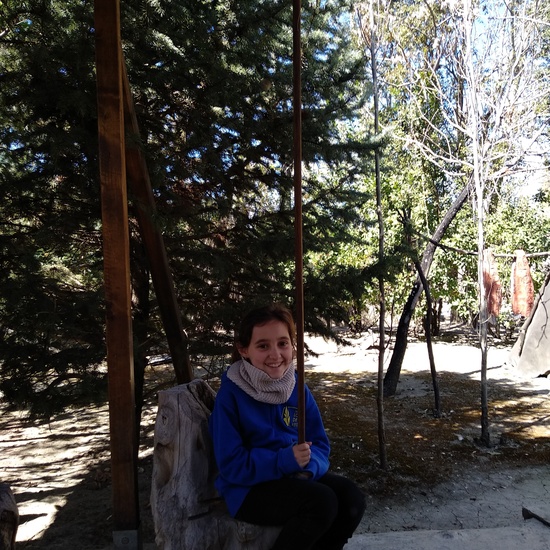 Arqueopinto 4º 19 11