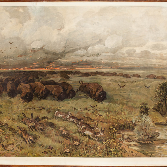 IES_CARDENALCISNEROS_ESPACIOSNATURALES_LAMINAS_012