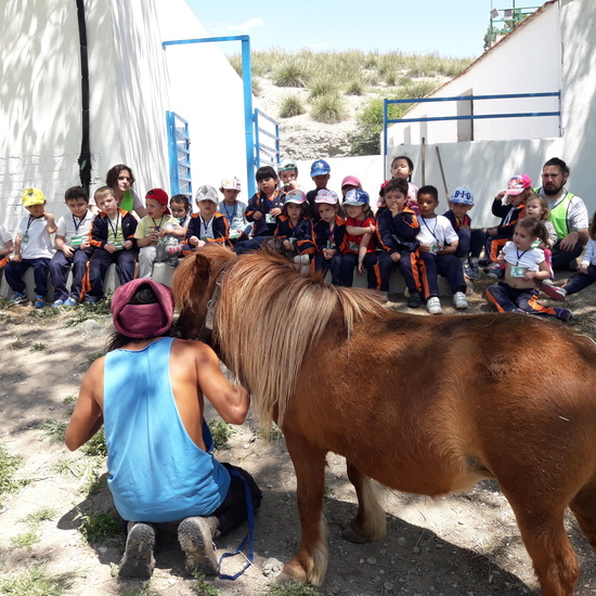 La vaca en bicicleta 2