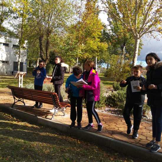 Albergue 6º - 2º día (mañana) 20