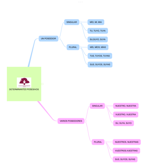 DETERMINANTES POSESIVOS