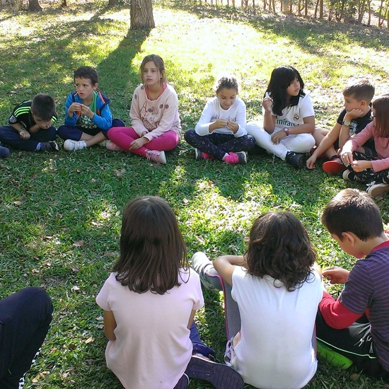 GRANJA SEPTIMA PARTE 33