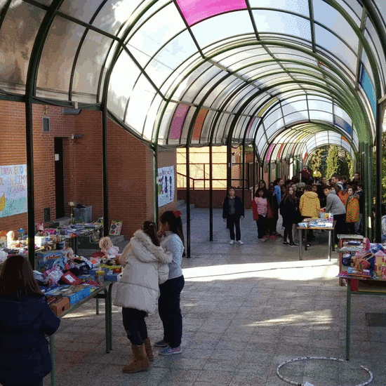 2019_01_30_Mercadillo Solidario 2019_CEIP FDLR_Las Rozas 28