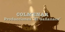 Reportaje: Colmenar Viejo