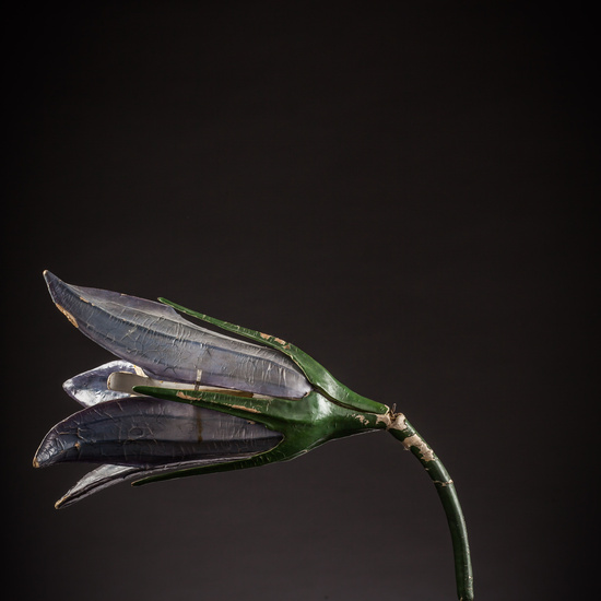 IES_ISABELLACATOLICA_BIOLOGIA_089