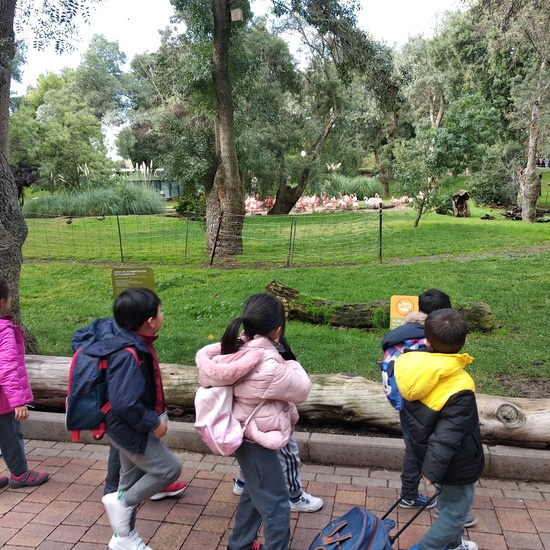 Visita al zoo 2019 6