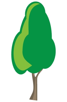 árbol
