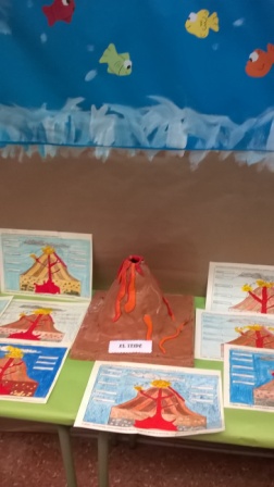 S.C Comunidades Autónomas 12