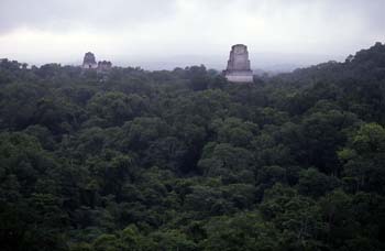 Vista de la selva rodeando a Tikal, Guatemala