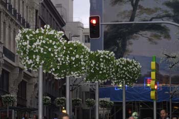 Almendros en flor en la Boda Real