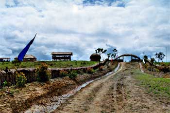 Camino de acceso a zona común/neutral de las tribus del Valle, I