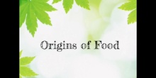 PRIMARIA 3º - NATURAL SCIENCE - ORIGINS OF FOOD - FORMACIÓN - EMMA L, LUCÍA D, CRIS A Y DANIEL M