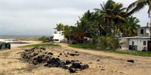 Playa de Puerto Villamil en la Isla Isabela, Ecuador