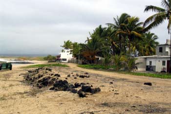 Playa de Puerto Villamil en la Isla Isabela, Ecuador