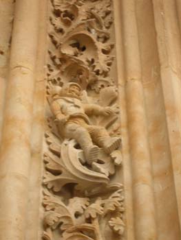 Detalle de la Catedral Nueva, Salamanca, Castilla y León