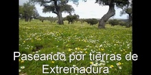 Paseando por tierras de Extremadura