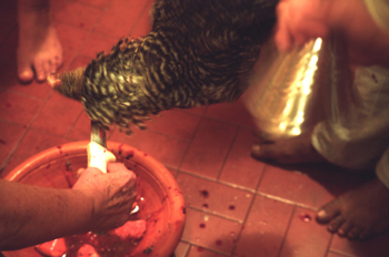 Candomblé, Sao Paulo, Brasil