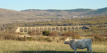 Viaducto Taboada en Gargantilla del Lozoya