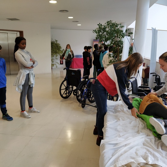 Diversidad funcional 1