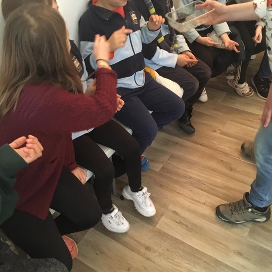 2020_02_27_3º visita Insectpark (2)_CEIP FDLR_Las Rozas 13