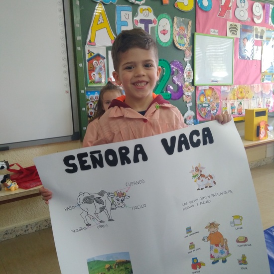 Terminamos nuestro proyecto 21