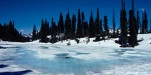 Agua helada en las Montañas Rocosas