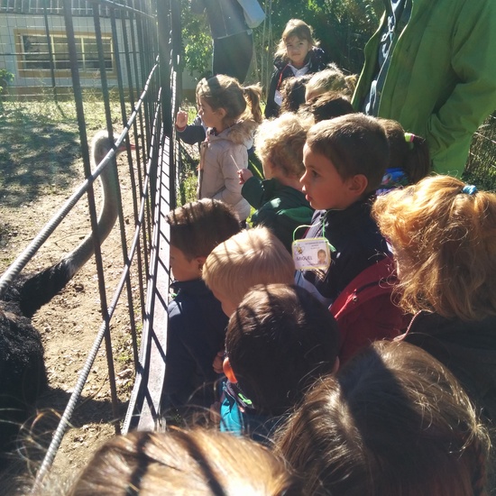 2016_inf 4 años a visita la granja 16