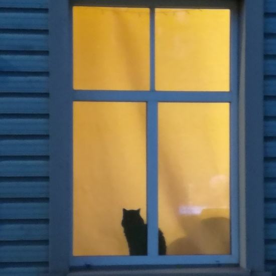 Viaje de Acompañamiento de Erasmus en Estonia 1