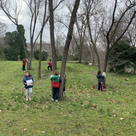 Excursión al Aula de la Casa de Campo 1ºA 2020 18